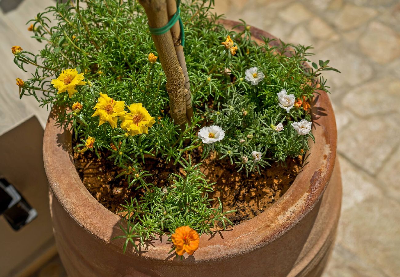 Apartment in Spili - Casa Sofia, Cozy Home #2, By Hellocrete 