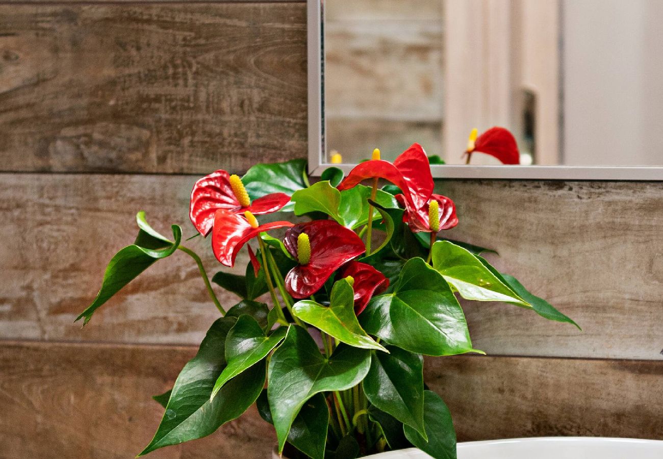 Studio in Rethymno - Remel Rooftop Apartment in the heart of Rethymno Old Town