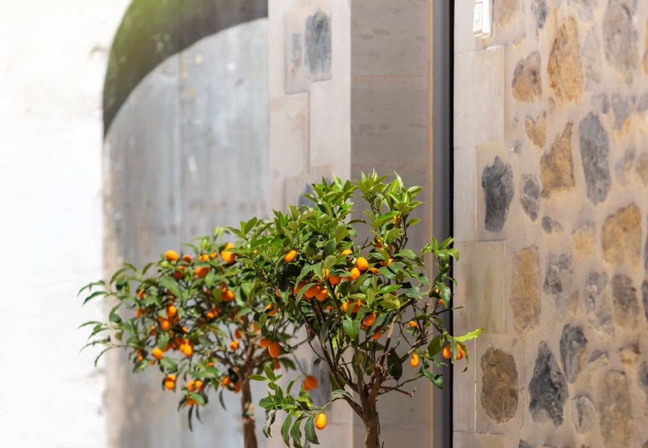 House in Pigi - Marilena Traditional House