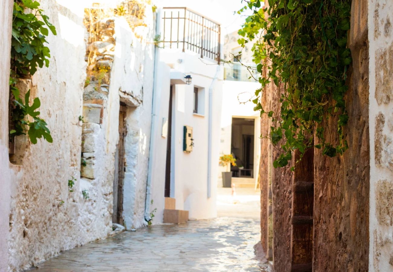 House in Pigi - Marilena Traditional House