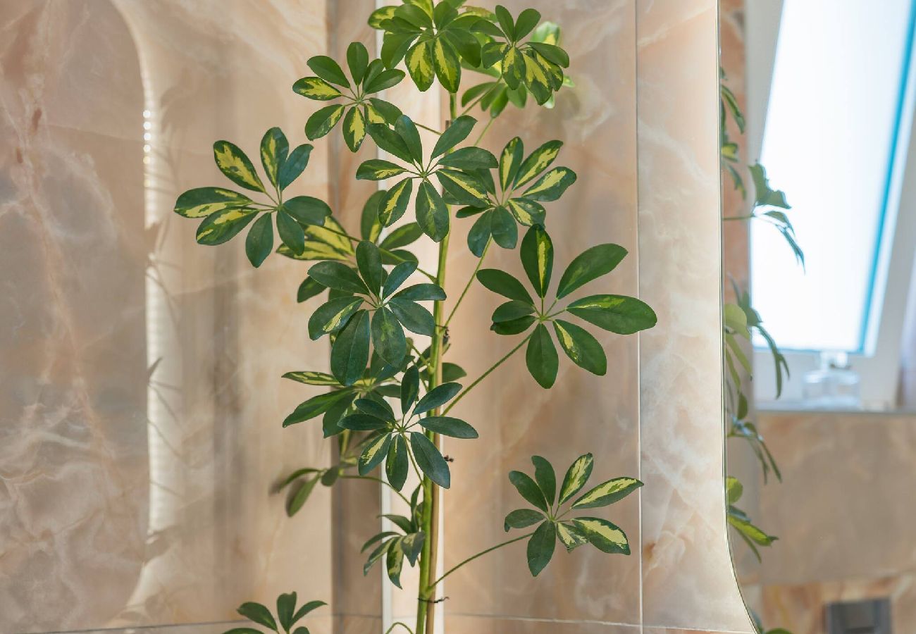 Apartment in Adele - Luisa Holiday Home