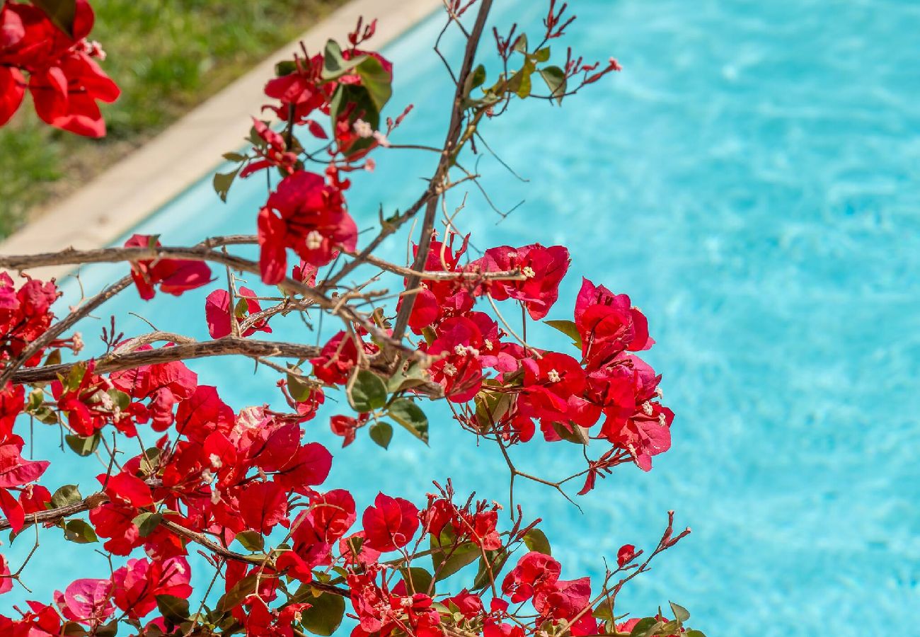 Apartment in Adele - Luisa Holiday Home