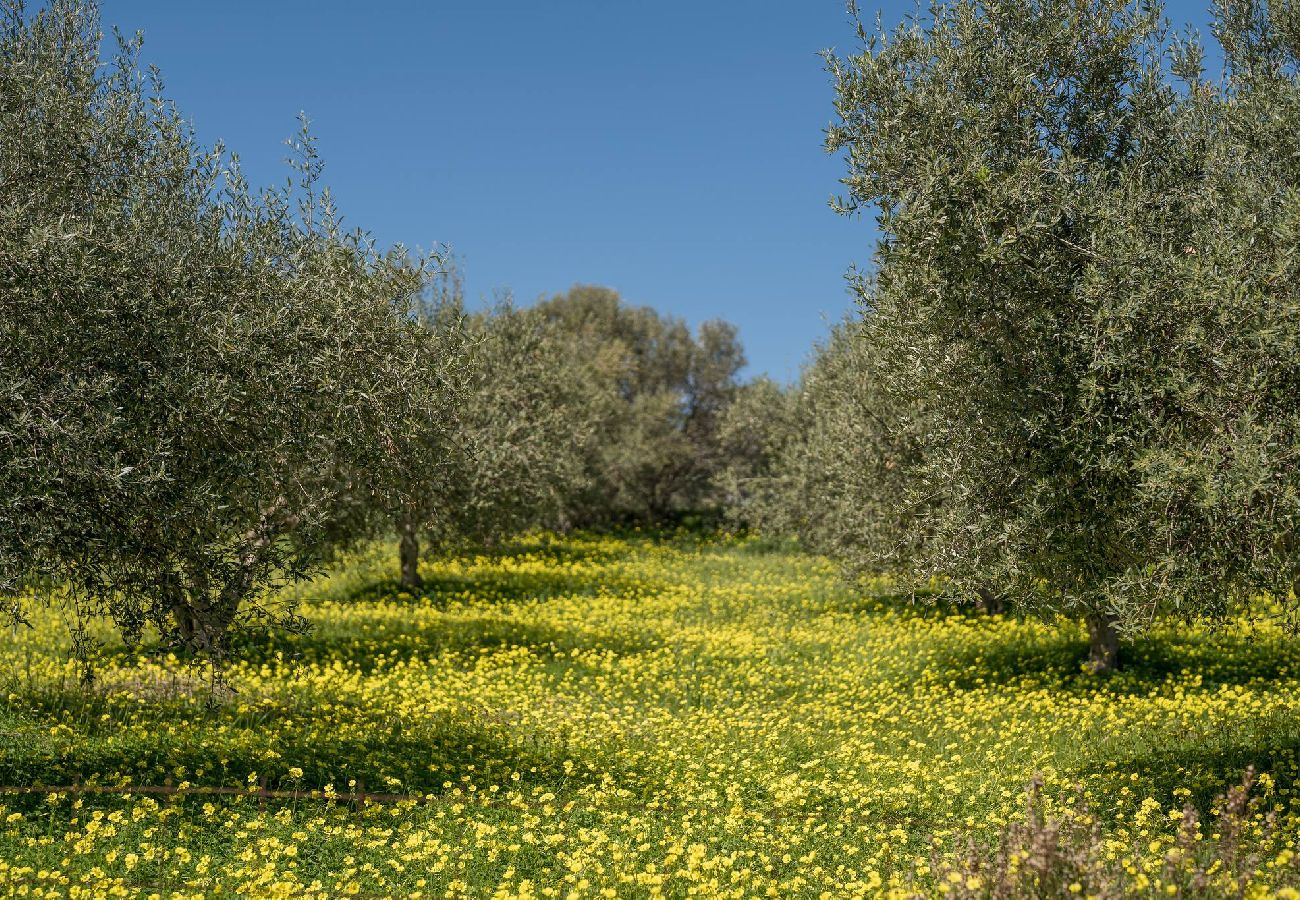 Apartment in Adele - Luisa Holiday Home