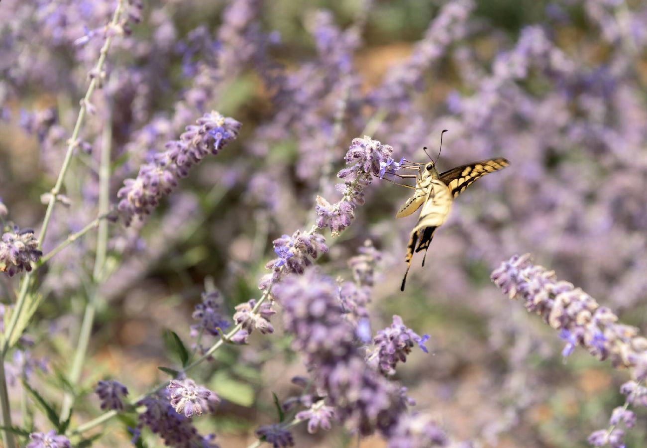 Villa in Skouloufia - Caelum Villa, By Hellocrete