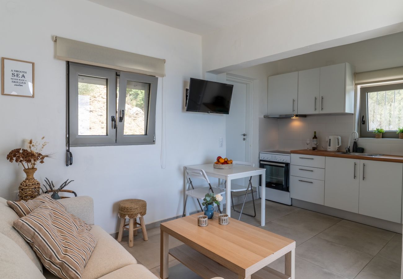 House in Agia Foteini - Agia Fotia Holiday House