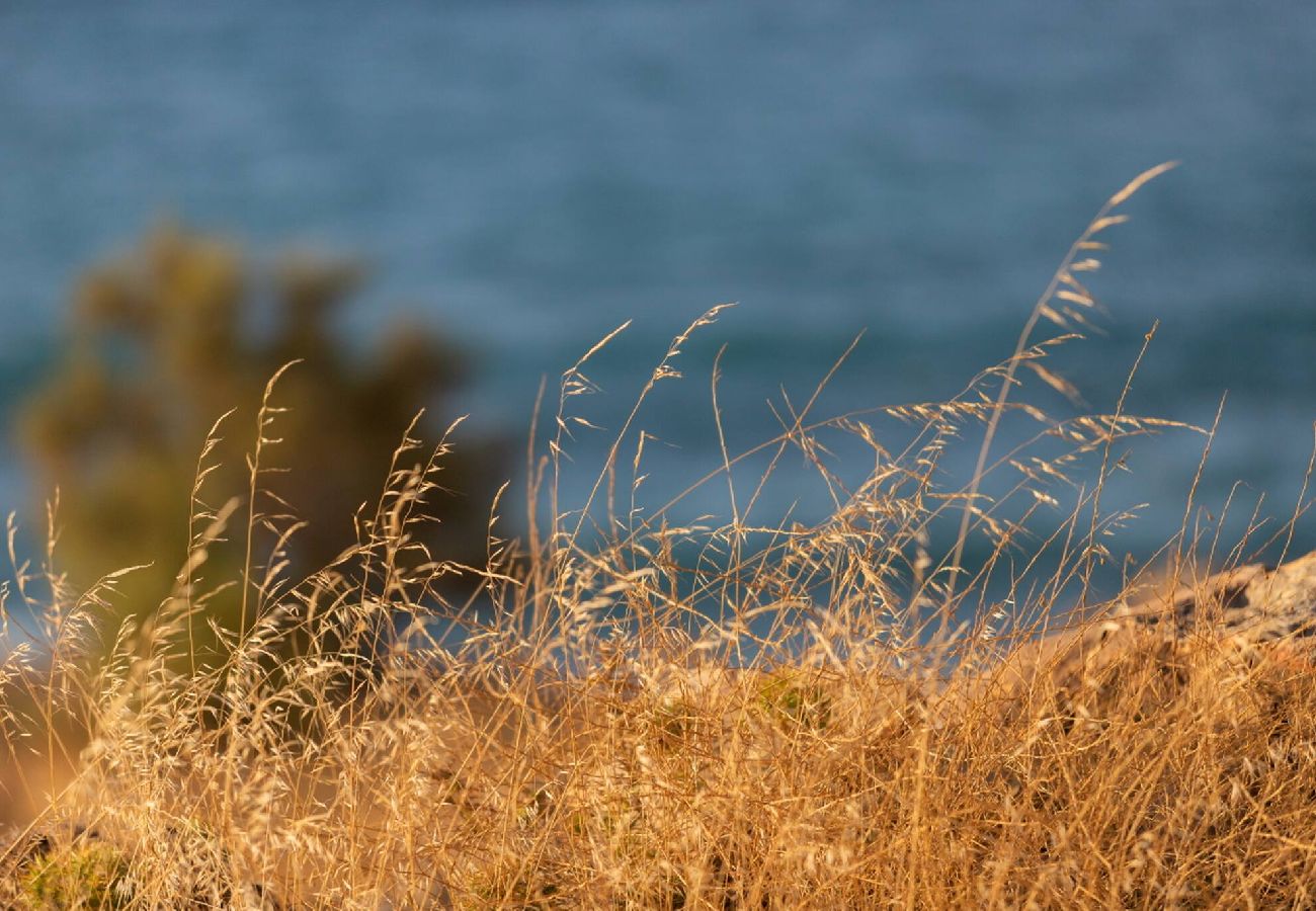 House in Panormo - Lucia Seafront Suite